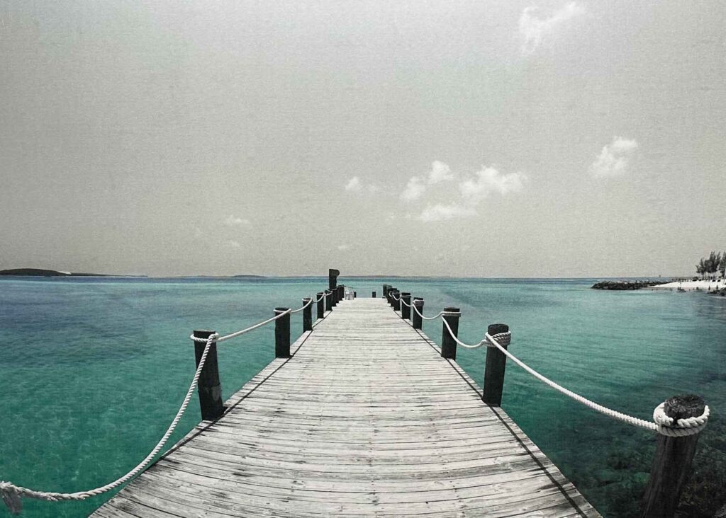 burckhard-ortho-hero-bg-art-dock